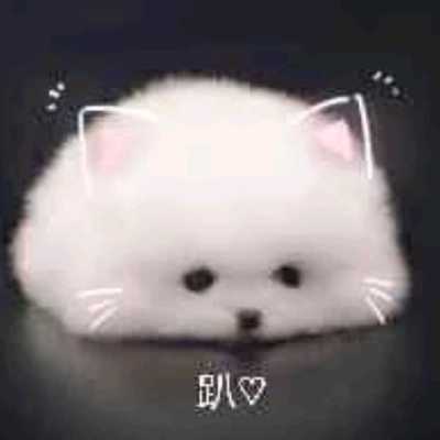 yiguozhou@mastodon.online