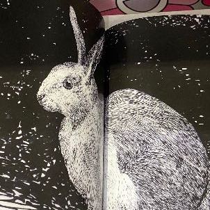 longbeardbunny@mastodon.online