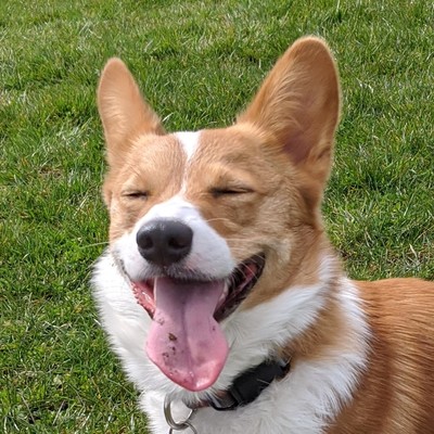Edwin Young's profile picture