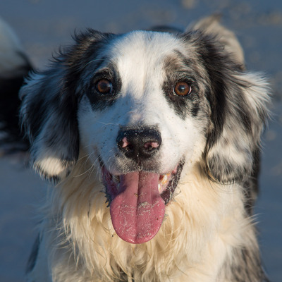 speculatrix@mastodon.online