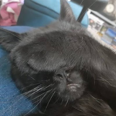 Bonnie