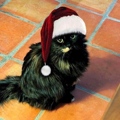 ricosuave@mastodon.online