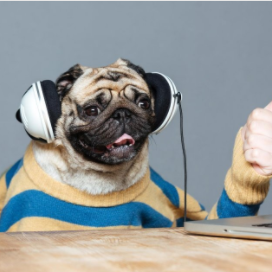 rc7r