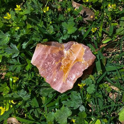 rachela@mastodon.online