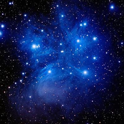 rachela@mastodon.online