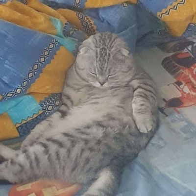Veru