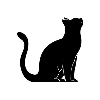 Meowth@mastodon.online