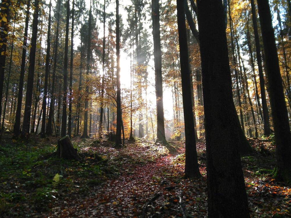 Titelfoto für diesen Kanal