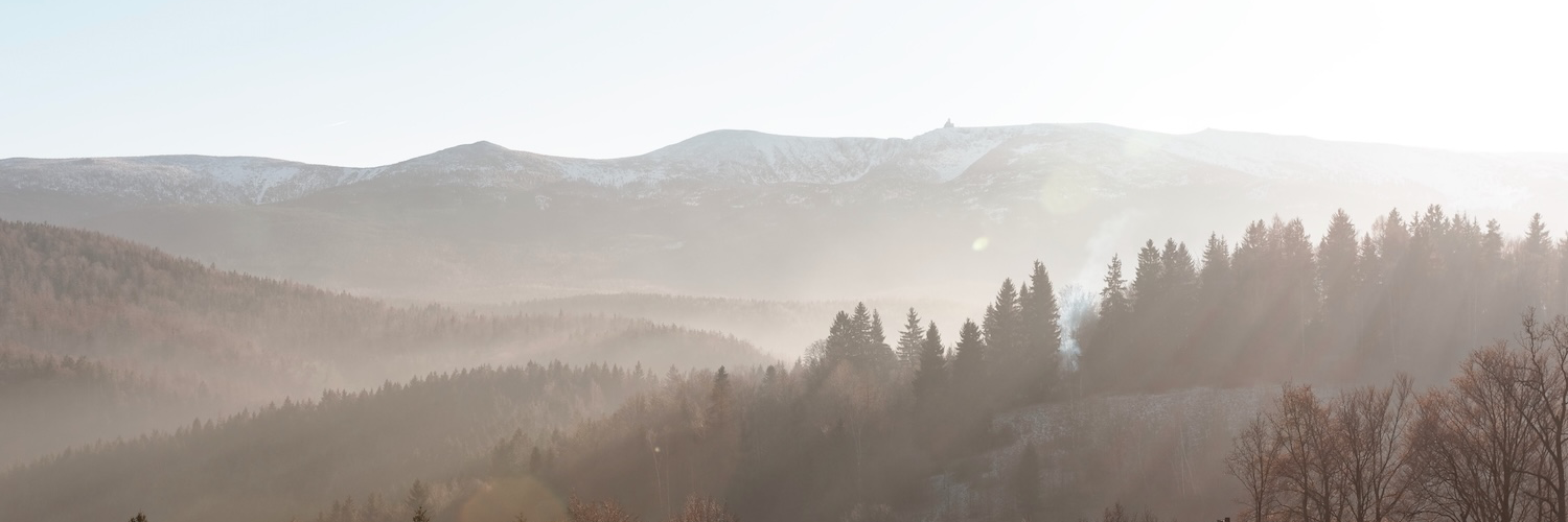 Header Image