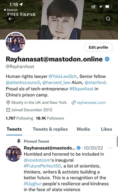 rayhanasat's avatar