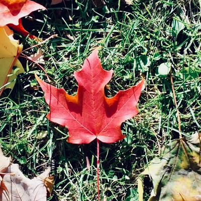 KarenKeiller's avatar