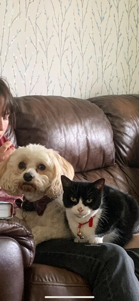 My oldest daughter almost out of shot at the left side of the photo; she asked me to state that she's concentrating on eating a kiwi fruit. Ruby dog (a cavachon with a big hint of poodle) is between her and Mollie cat (a black and white domestic shorthair). Both smaller family members are on daughter1's lap looking towards the photographer. That's me. (My wife is out of shot to the right).
