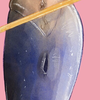 Ausschnitt der kommenden Illustration für den Mermay. Zu sehen ist die Hüfte, die bereits der Fischschwanz ist