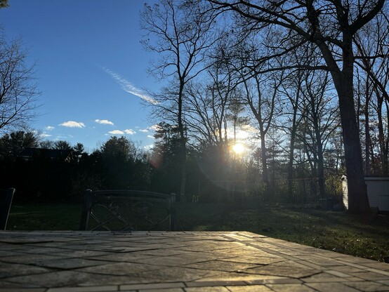 Sun just over the trees with a blue sky
