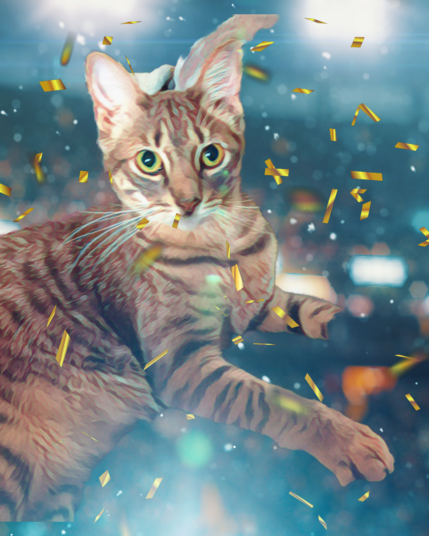 Gray tabby teen cat photo altered by misty filter and confetti in a time phase kind of way
