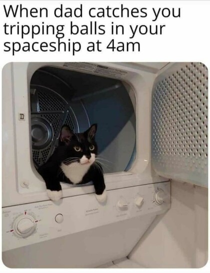 Photo of a cat hanging out the front of an open laundry dryer.

Image text: When dad catches you tripping balls in your spaceship at 4 am.
