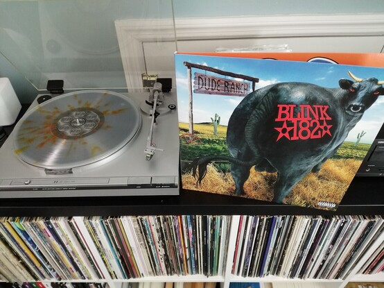 Display of Blink-182 â€“ Dude Ranch on vinyl