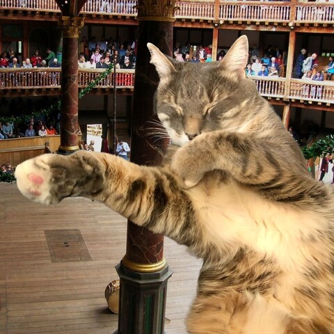 A gray tabby cat with creamy underside, white on the muzzle, and white tipped paws making theatrical gestures with his forelegs as a cutout on the stage of a medieval style theater stage.