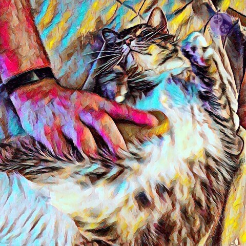 A gray tabby cat with abundant white underside lies on their back having their belly brushed by a human hand with a wooden brush and an oil painting filter illustrating Complicated Cats.