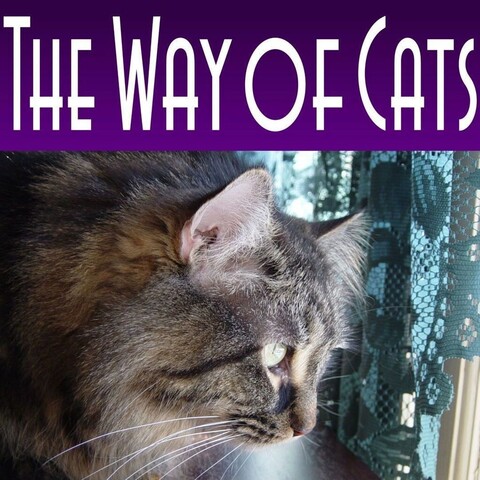 book cover, with a purple background and white letters spelling out The Way of Cats, and a Maine Coon brown tabby looking out of a window with green lace curtains