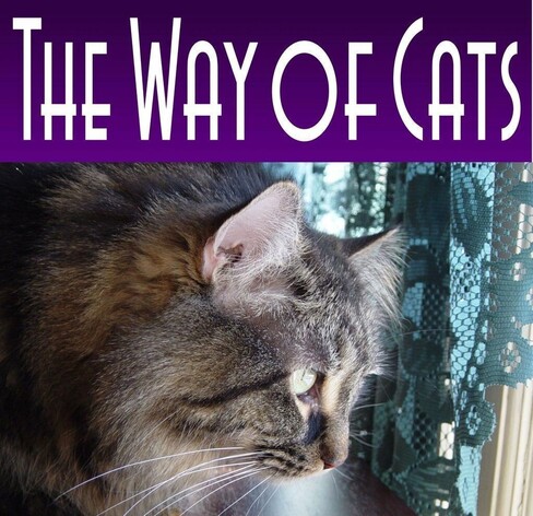 book cover, with a purple background and white letters spelling out The Way of Cats, and a Maine Coon brown tabby looking out of a window with green lace curtains.