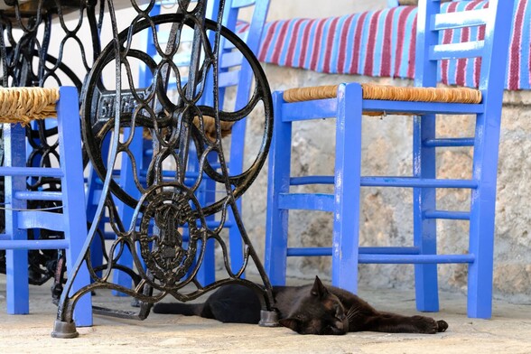 A black cat, stretched out under a table made from the cast iron treadle base of a vintage Singer sewing machine, next to some blue chairs.