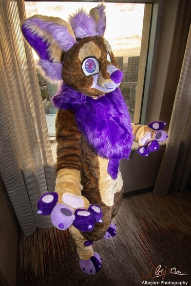 A photo of a fennec fursuiter standing in front of a window in a hotel room that overlooks a city. The fennec has purple and lavender accent colors along it's digits and in it's ear fluff and along it's muzzle and nose. The rest of the fur is brown and tan.