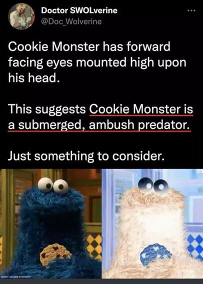 A picture of the Cookie Monster character from sesame street. It is covered in blue fur with two big eyeballs at the top of its head. 

The text above the image says Cookie Monster has forward facing eyes mounted upon his head. This suggests cookie monster is a submerged ambush predator. Just something to consider.