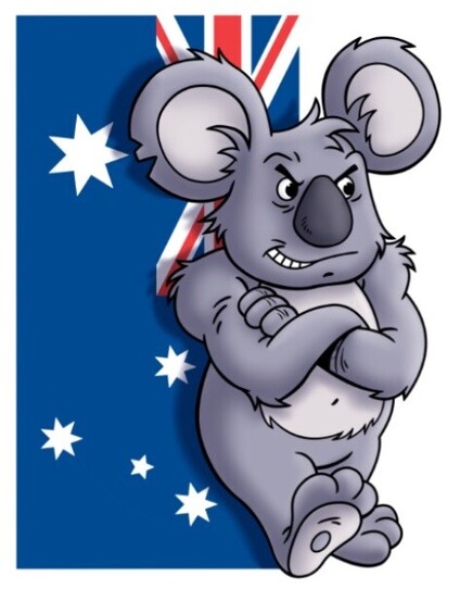 Tough looking cartoon koala leaning against the Australian flag.