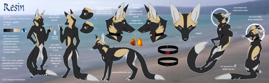 Reference of a cross fox.