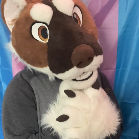 A stoat fursuiter holds their paws up to their chest in a gesture of adoration, while standing in front of a transgender pride flag.