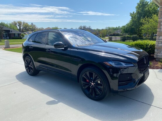Black jaguar