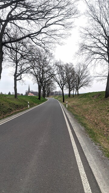 Aus der Fahrt aufgenommen, eine schmale gute asphaltierte Straße. Rechts und links kahle Bäume, weil Frühling. Im Hintergrund eine Kirche.