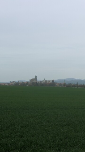 Im Vordergrund ein grünes Feld. Der Himmel ist grau. Am Horizont die Siluette von Bautzen mit dem prägnanten Dom.