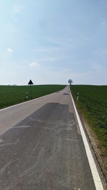 Eine lang gezogene schmale Landsraße, die am Horizont an einer Kuppe endet. Am Ende rechts ein Baum. Links ein Straßenschild. Neben der Straße grünes Feld.