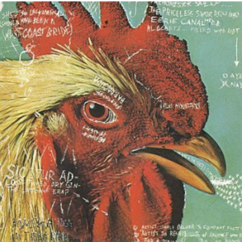 The cover of the Watery Domestic EP by Pavement that features the painted head of a rooster with lots of scribbles over it.