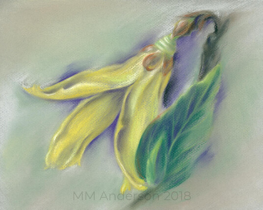 Soft pastel artwork on textured paper picturing a single yellow forsythia flower facing left with a green leaf on the right. Background is beige and purple.