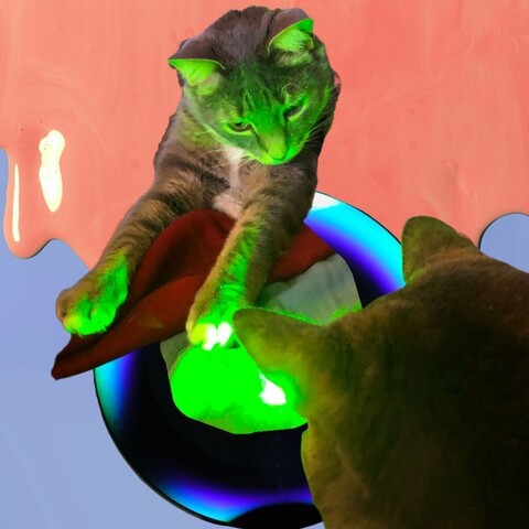 The reflected light from a green laser dot lights the face of a big gray tabby with abundant white underside and silhouetting the outline of another cat head in the foreground. Designs in the background of dripping paint and an round image with unusual lighting to give a surreal effect.