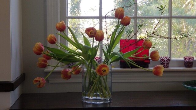 Photo of a bouquet of red-orange tulips sprawl out of a clear glass vase. Behind the flowers is a window with red glass votives on the sill & lots of sunshine & greenery outside.