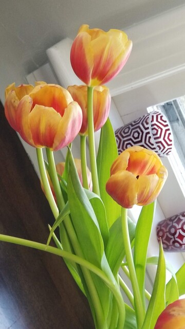 Photo of a bunch of red-orange tulips. Behind the flowers is a window with red glass votives on the sill.