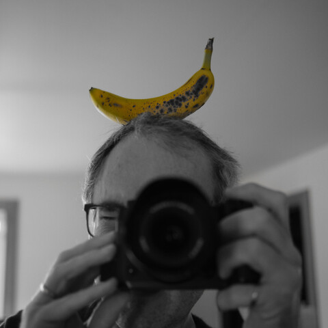 A photograph of a banana, with a photographer for scale. No bananas were harmed.
