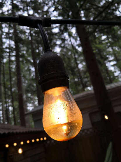 A lit LED light bulb with an inch of water inside the bulb. The bulb is part of an outdoor light string. The bulb is pear-shaped and is roughly the size of a standard incandescent bulb (A15, medium base).