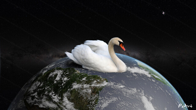 Giant Swan swimming in the Planet Earth ocean.
