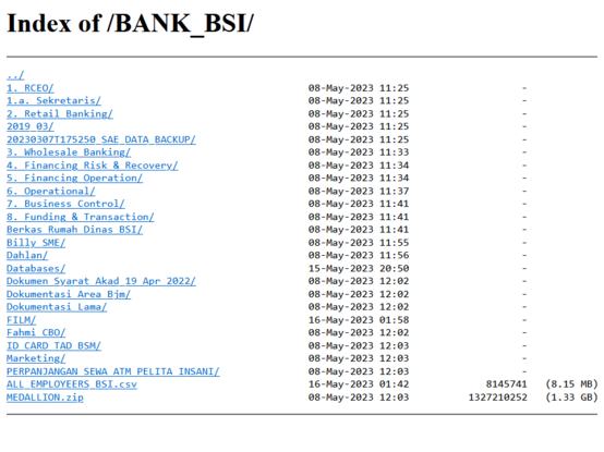 A screenshot of the main folder of BSI data leaks. There are some folders and files, for example Databases folder.