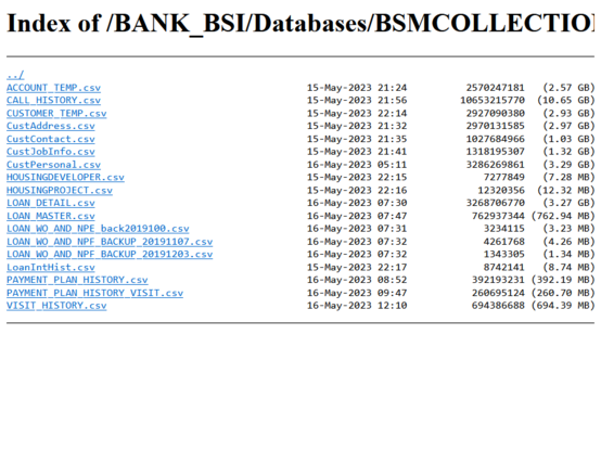 A screenshot of the BSM Collection folder. There are some CSV files, for example Customer Address dot CSV, Customer Contact dot CSV, and Customer Personal dot CSV.