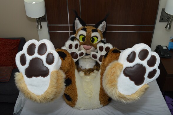 lynx fursuiter showing paws