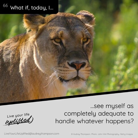 A lioness is looking ahead with keen focus. Words: What if today I see myself as completely adequate to handle whatever happens?