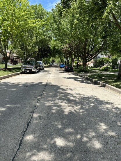 Photo of a suburban side street. Cars are parked along each side and the large trees cast shadows on the concrete.