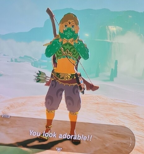 Link has put on a two piece costume to sneak into a female only area. Green crop top and puffy pants with and exposed midriff and a face covering. He has his hands on his face in surprise and the caption from the seller reads, "You look adorable!"