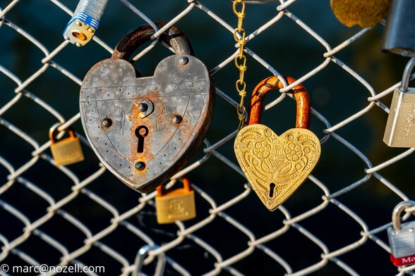 Two Heart shaped lock attached to a chain link fence